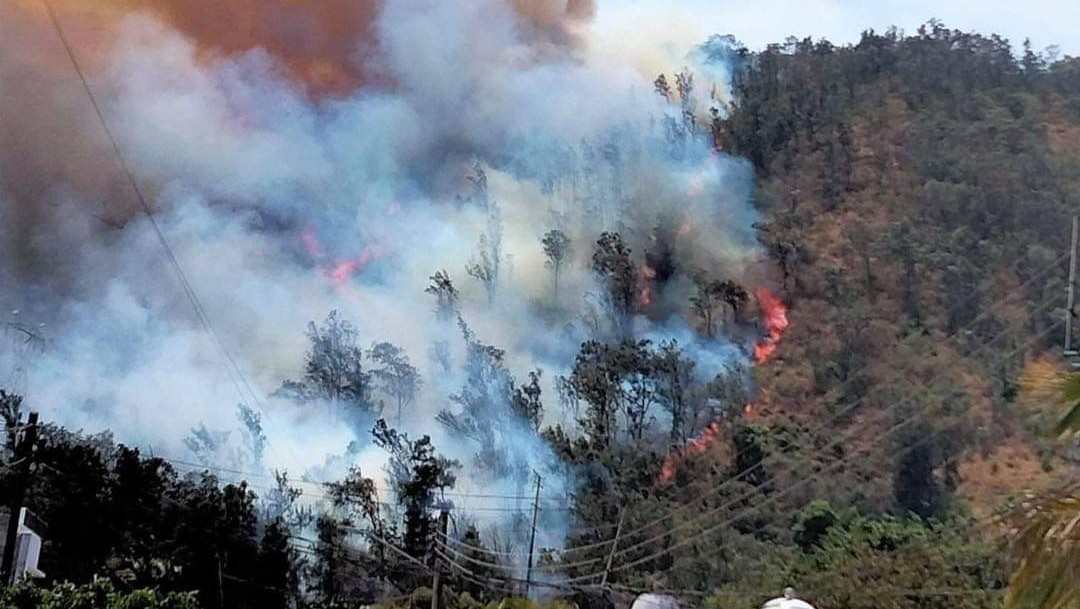 Un hombre muere por incendio forestal en Nayarit