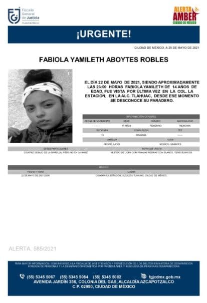 Activan Alerta Amber para localizar a Fabiola Yamileth Aboytes Robles