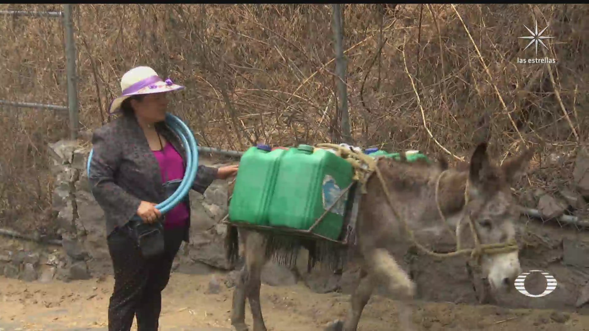 burritos auxilian a habitantes de xochimilco a acarrear agua