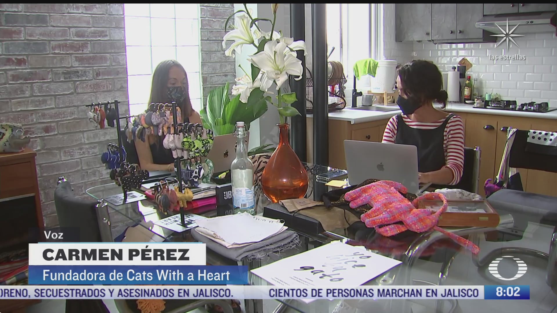 cats with a heart fundacion que ayuda a mujeres que estuvieron en reclusion