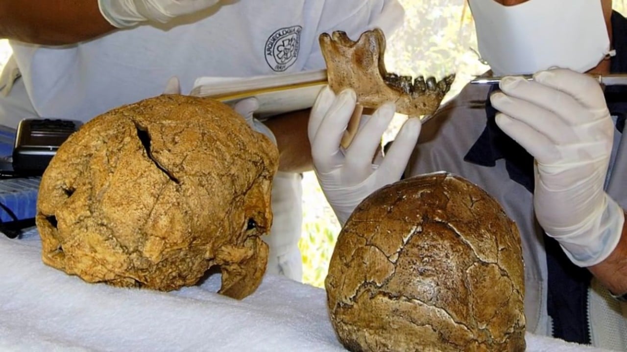 ¿Conoces la osteoteca? Aquí resguardan los restos humanos más antiguos hallados en excavaciones