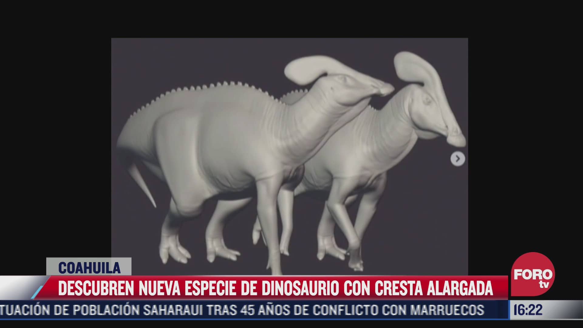 descubren nueva especie de dinosaurio