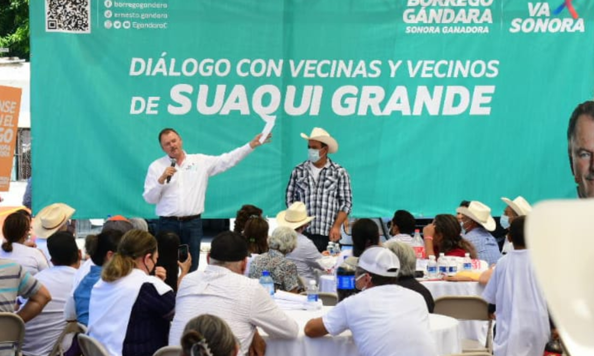 Borrego Gándara propone desarrollar producción de bacanora