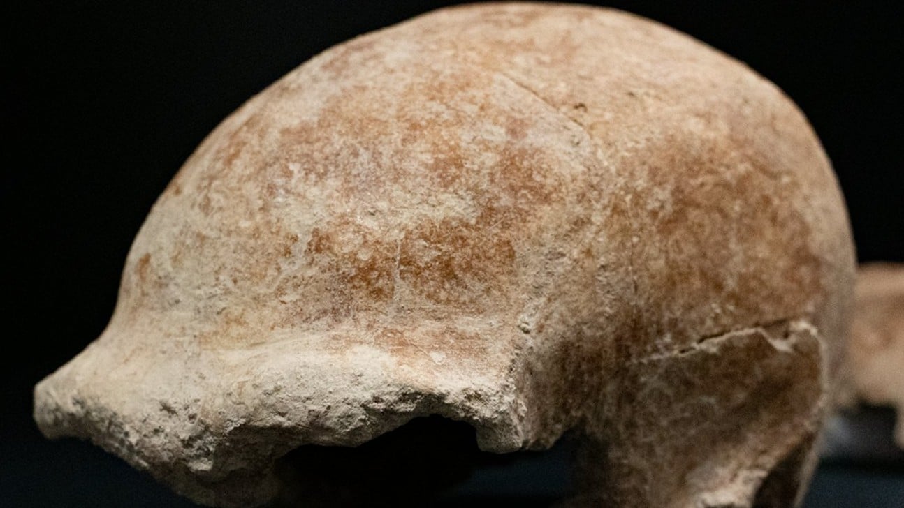 Encuentran restos fósiles de 9 neandertales en una cueva de Italia