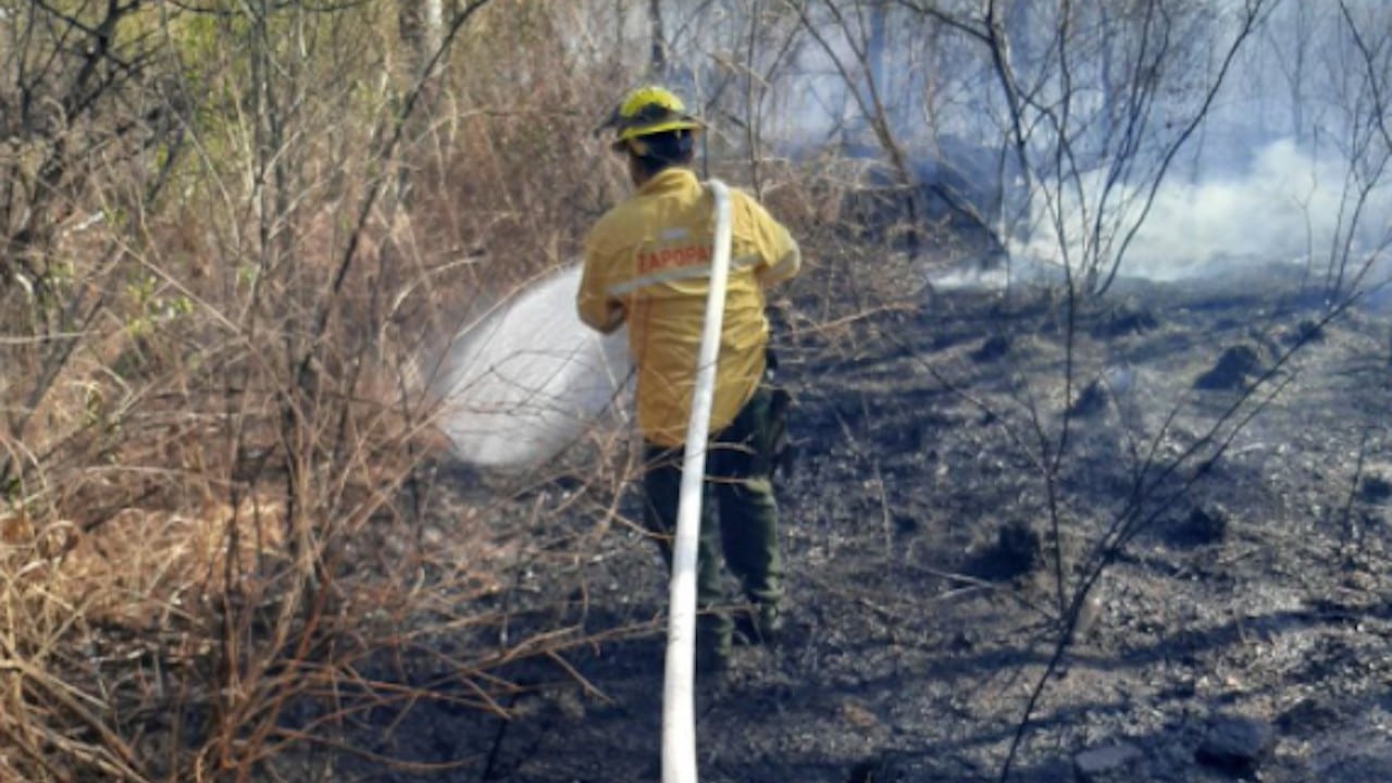Incendios forestales en Jalisco (Twitter: PCyBomberosZapopan)