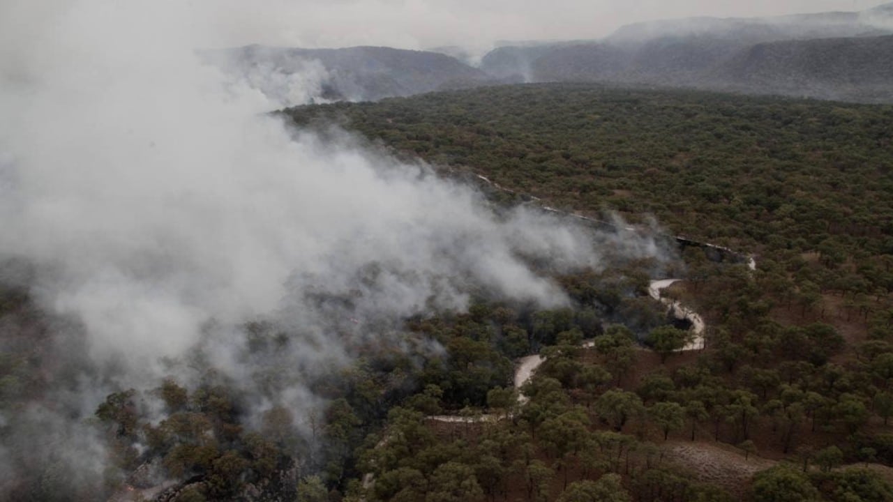 Incendio forestal en el paraje Ciudad Cajetes, del bosque de La Primavera (Twitter: @EnriqueAlfaroR)