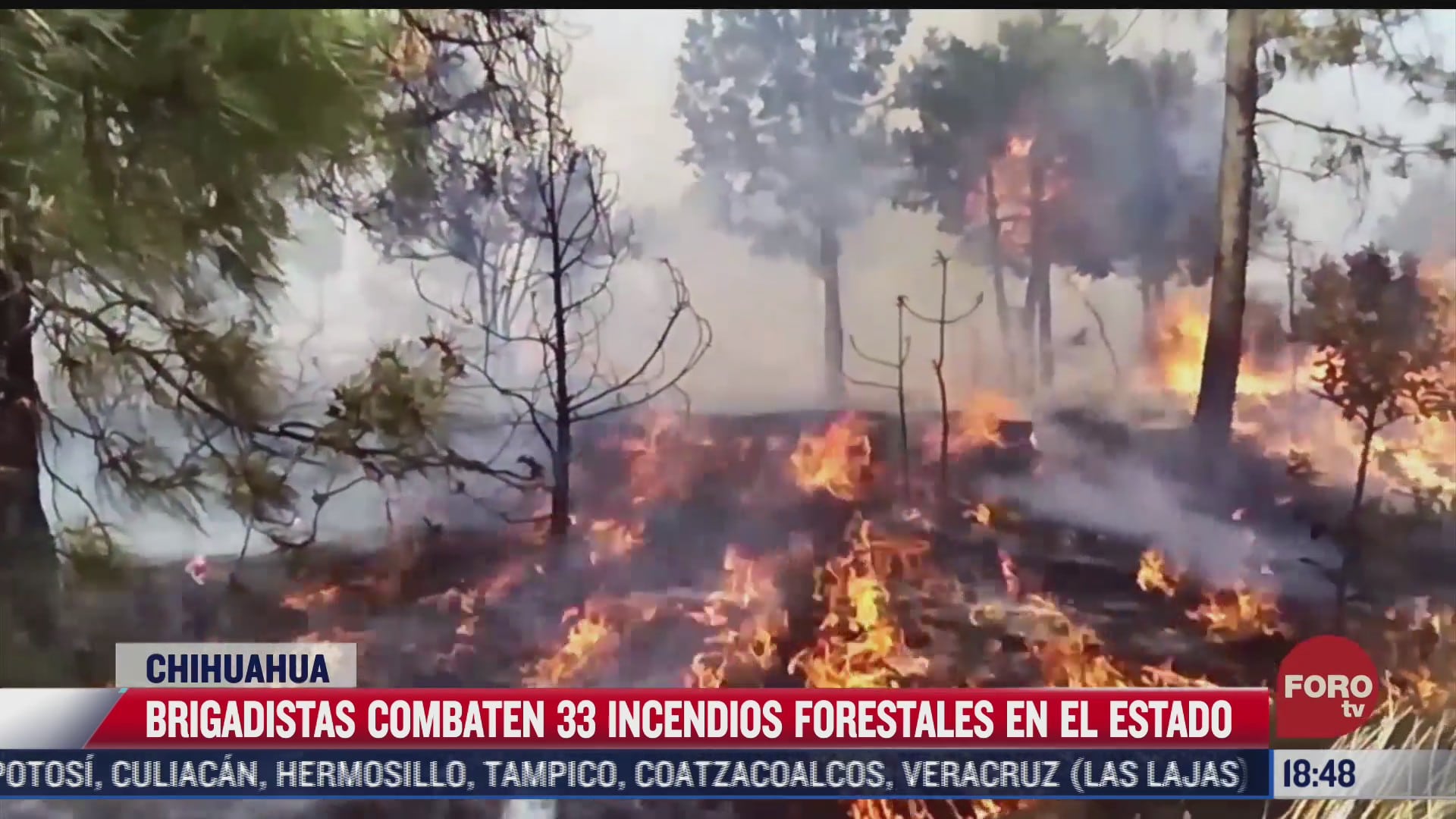 incendios afectan casi 30 mil hectareas en chihuahua