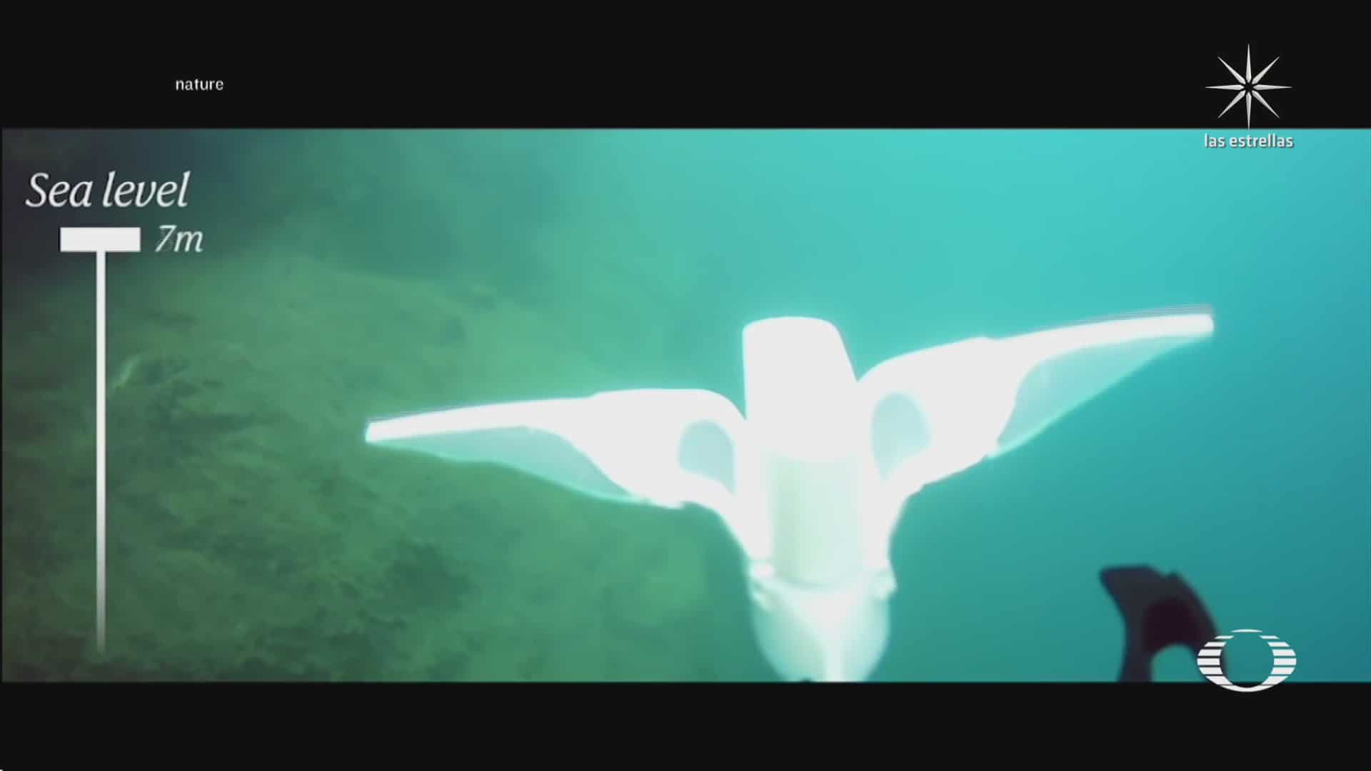 pez robot baja a profundidades del oceano