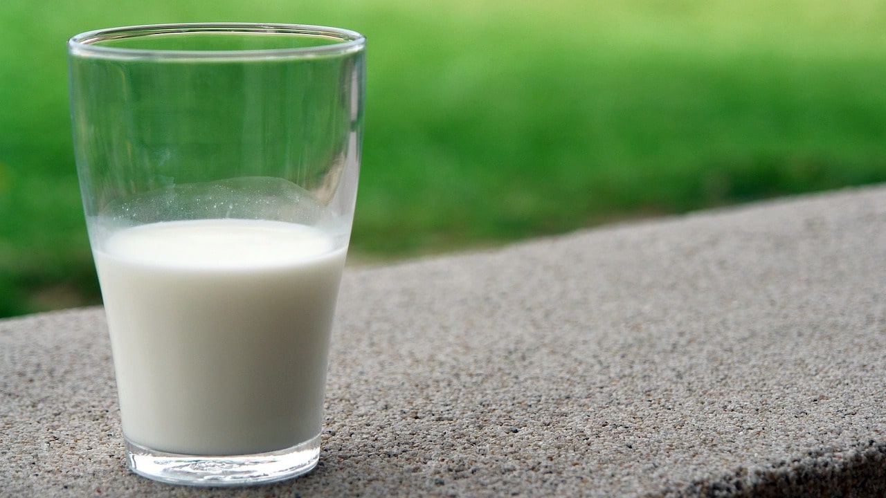 El consumo de leche habitual no aumenta los niveles de colesterol