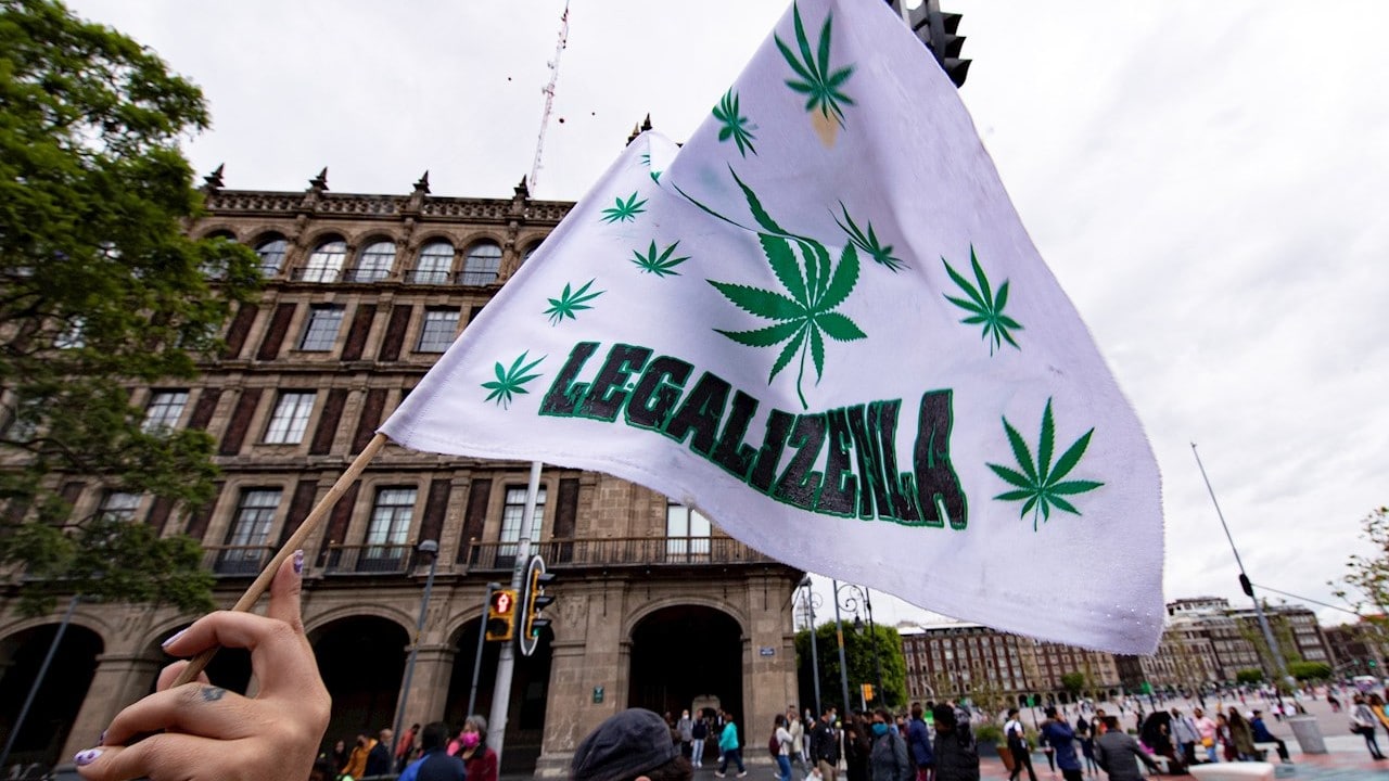 Activistas a favor de marihuana marchan y acampan en CDMX en espera de resolución de la SCJN