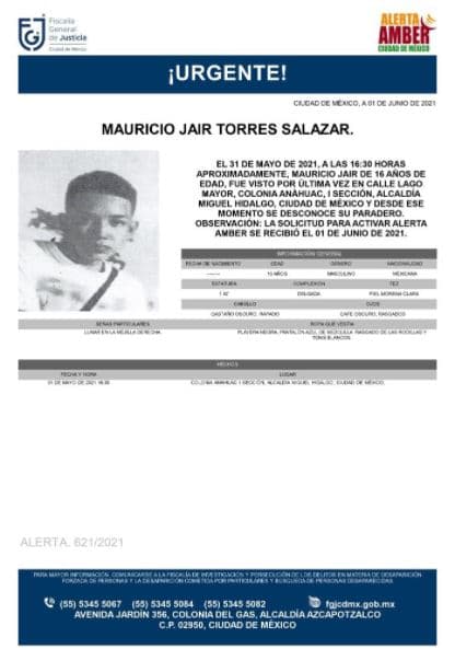 Activan Alerta Amber para localizar a Mauricio Jaír Torres Salazar