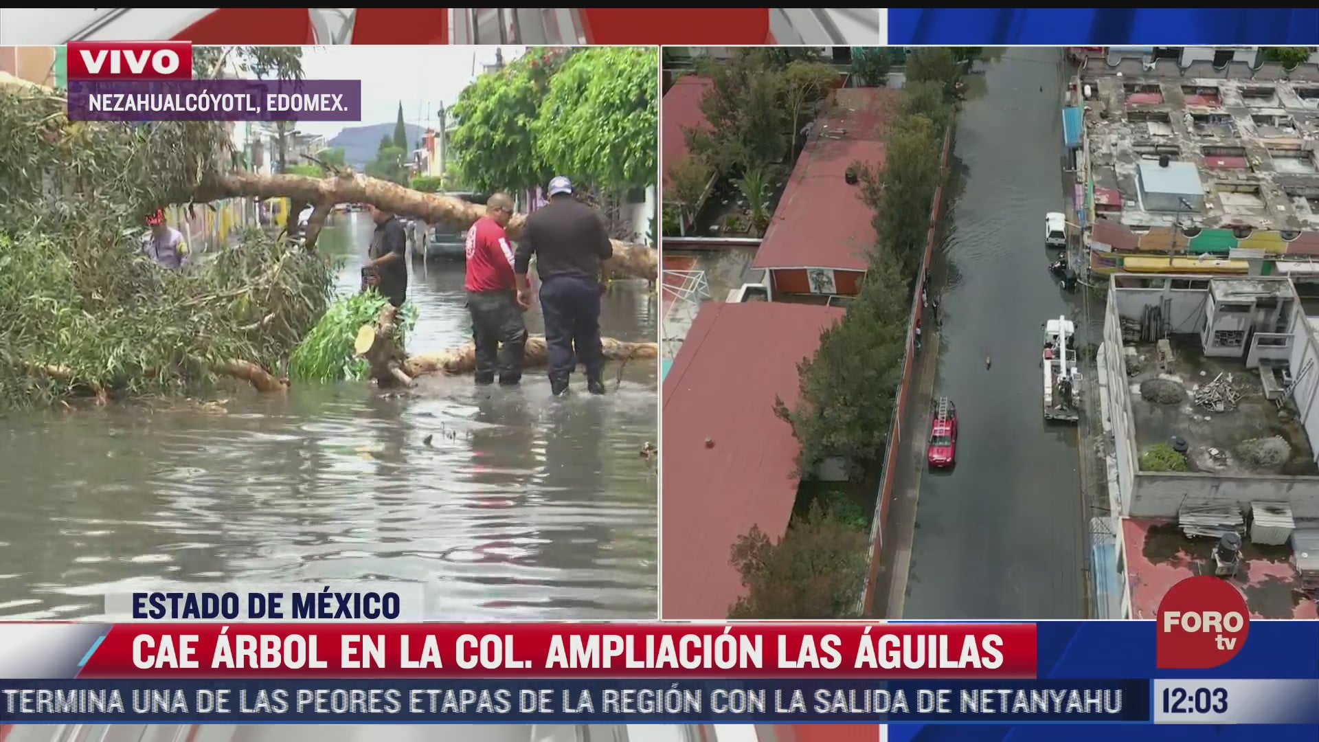 cae arbol de 8 metros de altura en plena inundacion en nezahualcoyotl