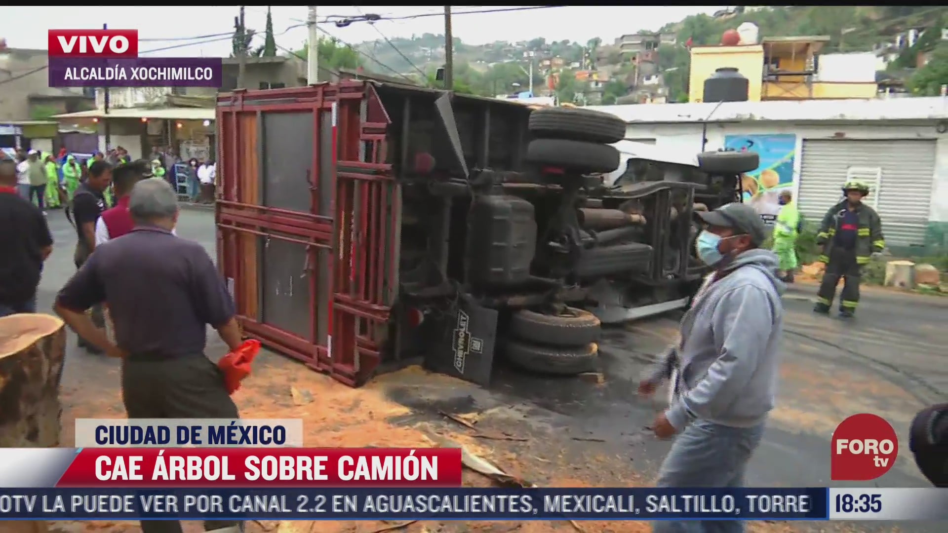 cae arbol sobre camion en xochimilco cdmx