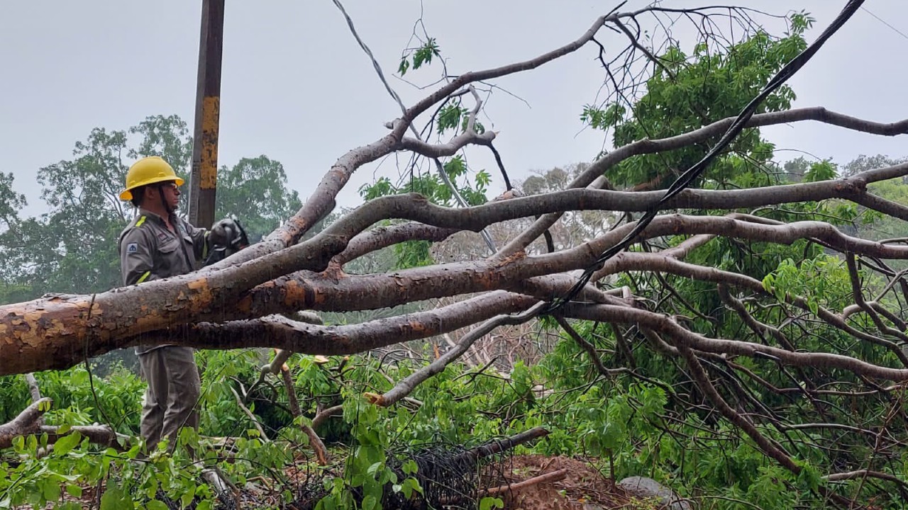 CFE restablece suministro eléctrico en estados afectados por tormenta tropical 'Dolores' en un 80.5 %