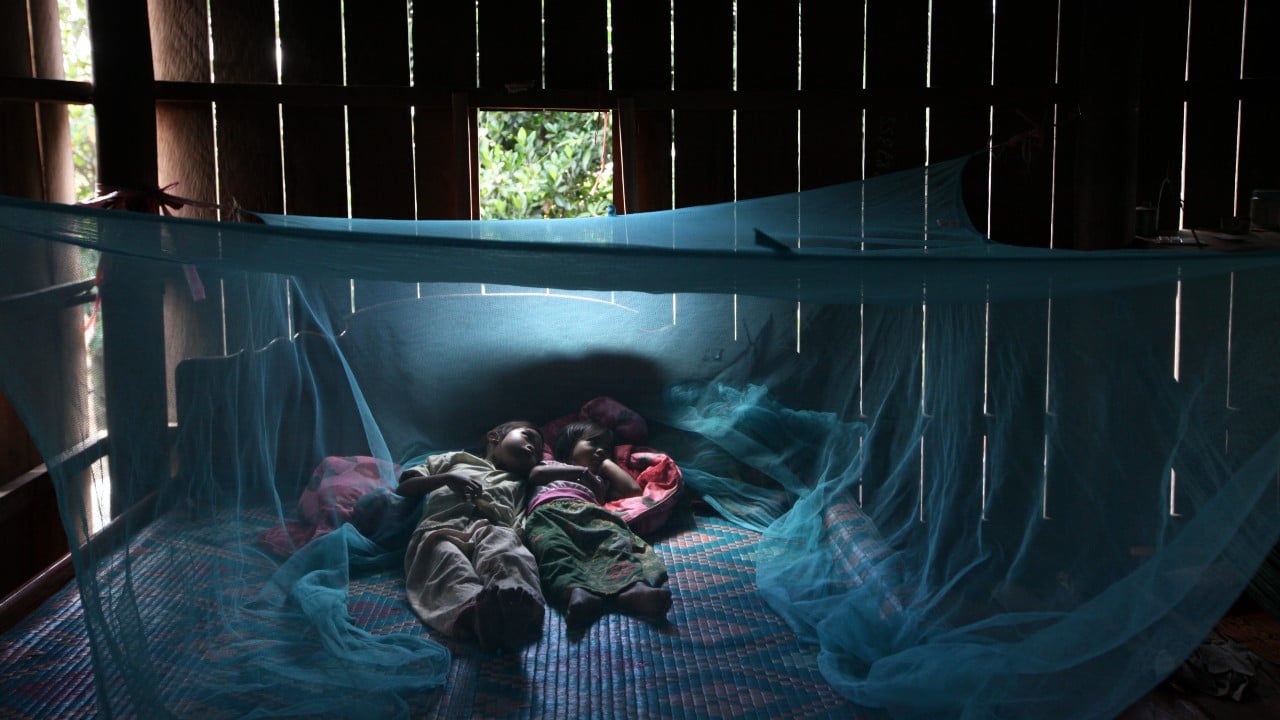 China logra erradicar malaria tras 70 años de lucha