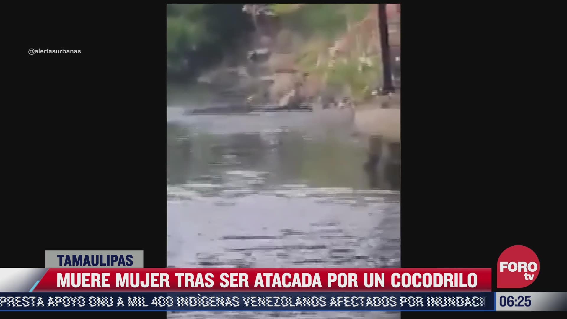 cocodrilo mata a mujer que lavaba ropa en un rio
