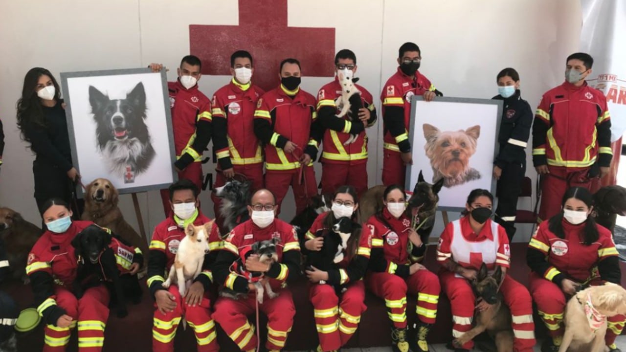 Trabajadores de Cruz Roja homenajean a perros rescatistas envenenados en Querétaro