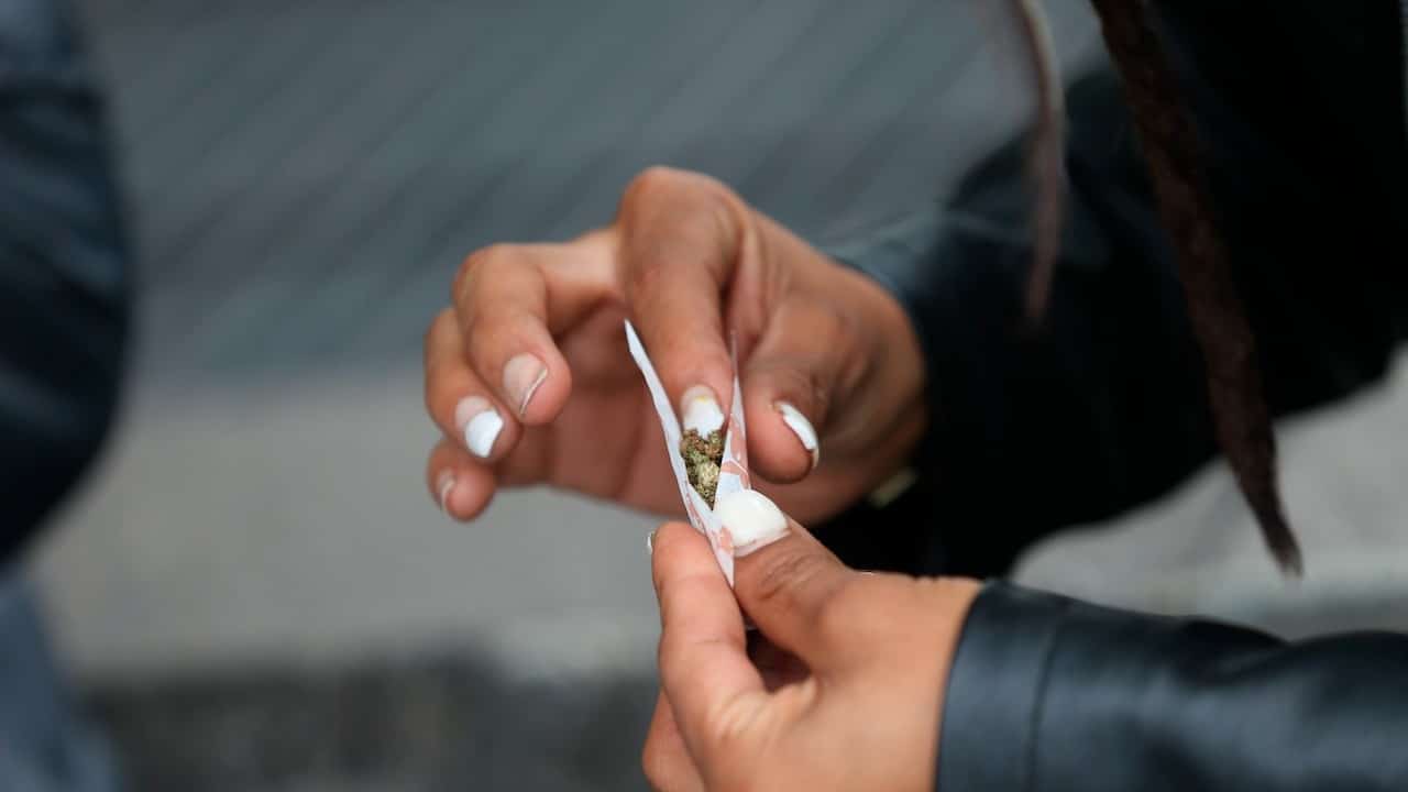 Consumidores celebran legalización de marihuana recreativa (EFE)