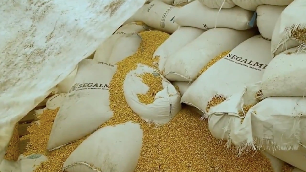 Miles de toneladas de maíz, propiedad de Segalmex, se pudren en Chiapas y lo comercializan en Guatemala