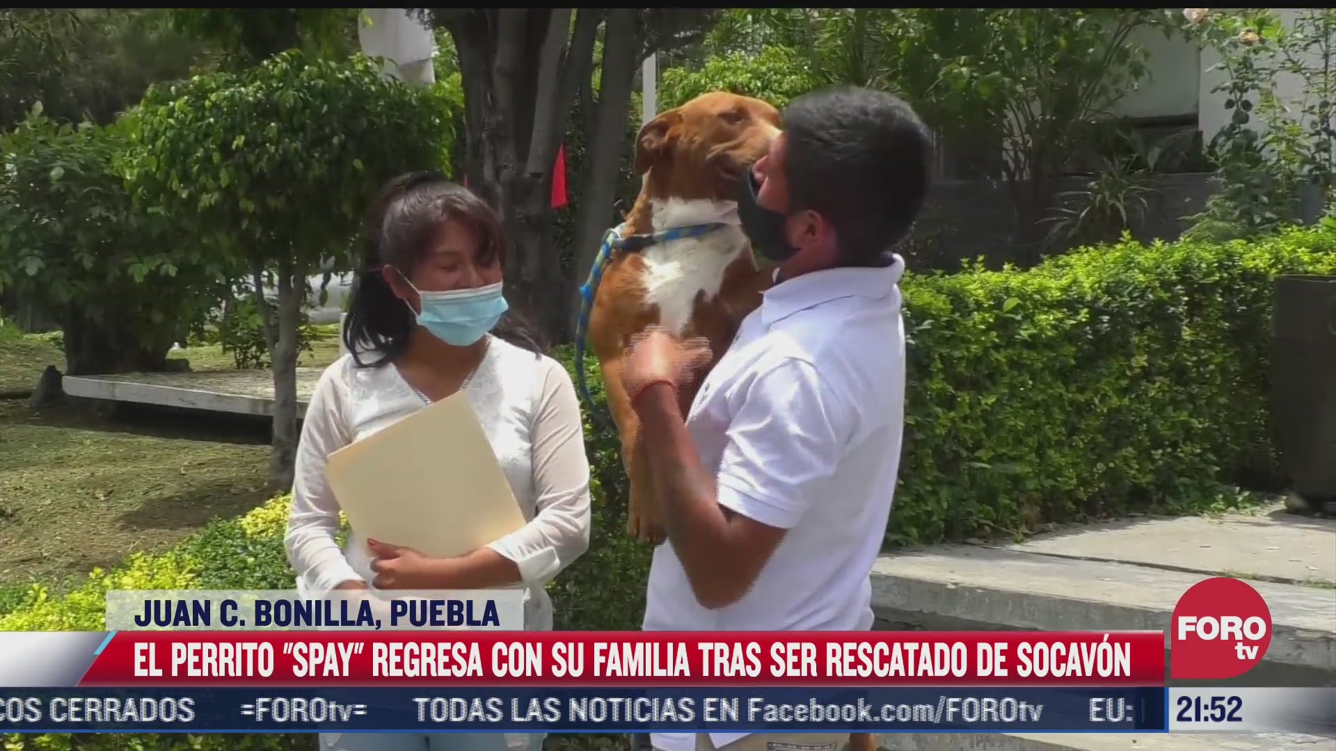 perrito spay regresa con su familia tras ser rescatado de socavon