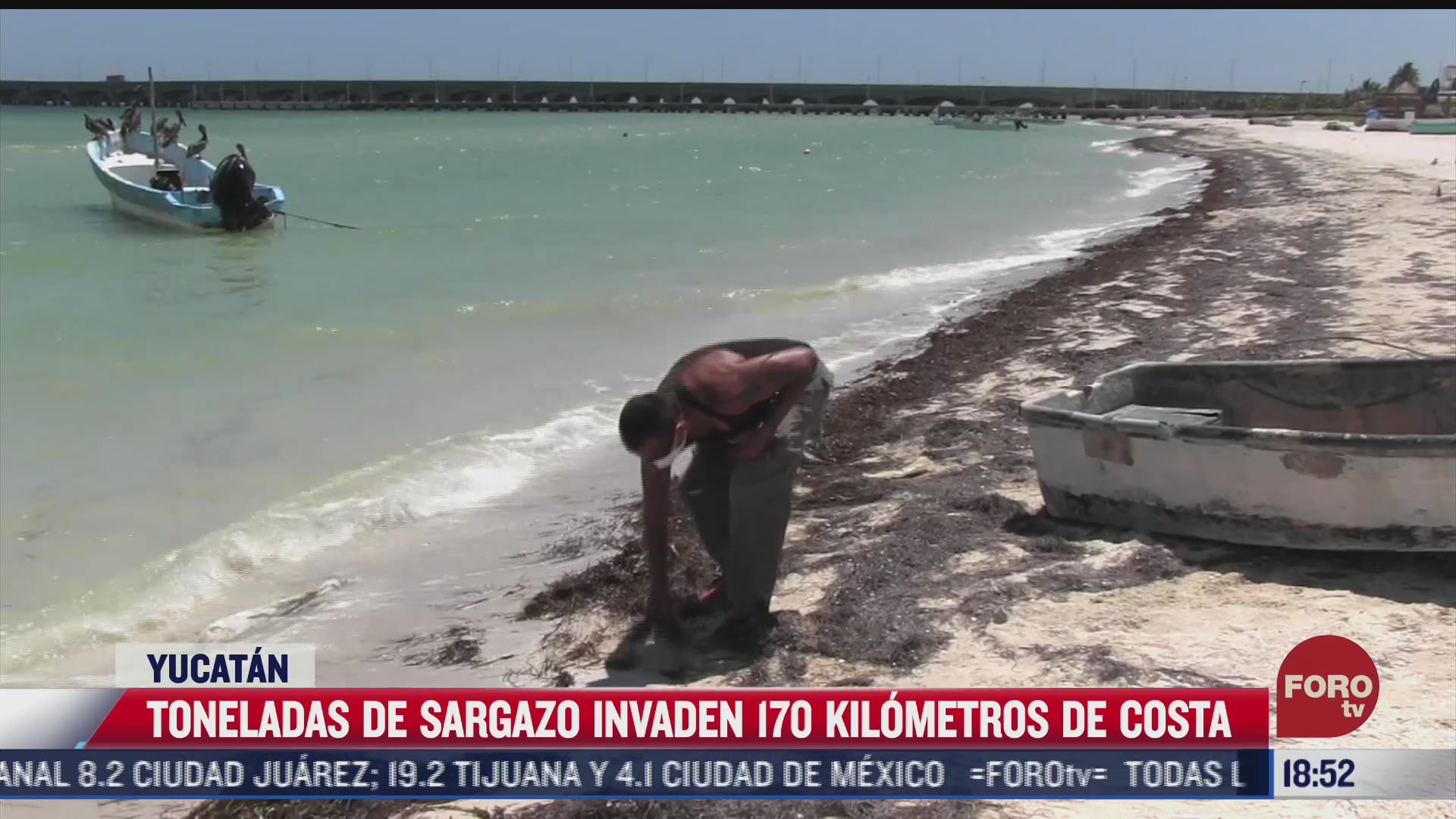 pescadores limpian sargazo para evitar que lanchas se hundan