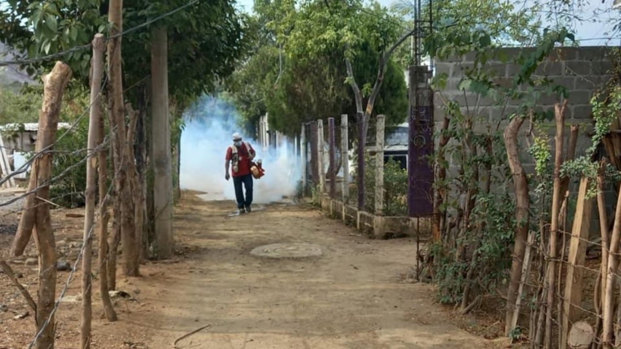 Redoblan fumigación en Acapulco para evitar brote de vectores por lluvias
