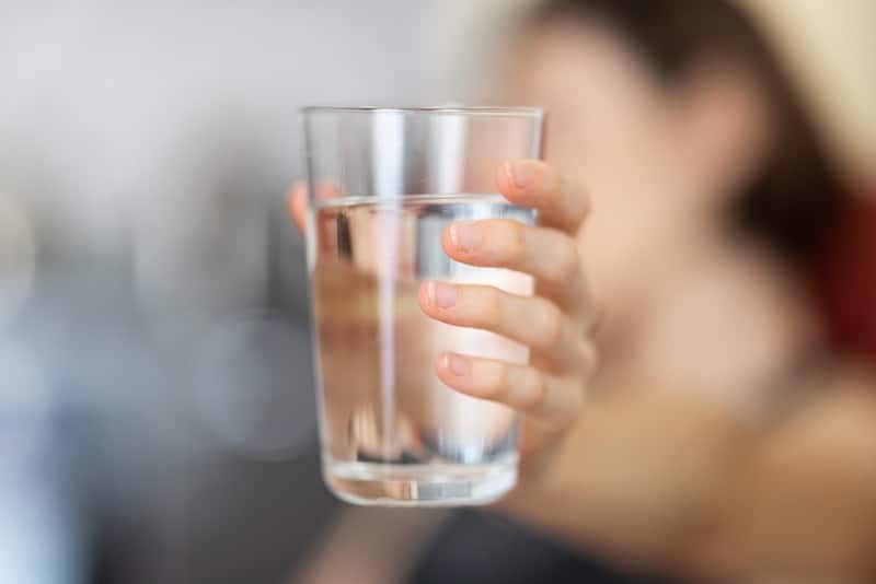 ¿Por qué es importante beber agua en los días de calor?