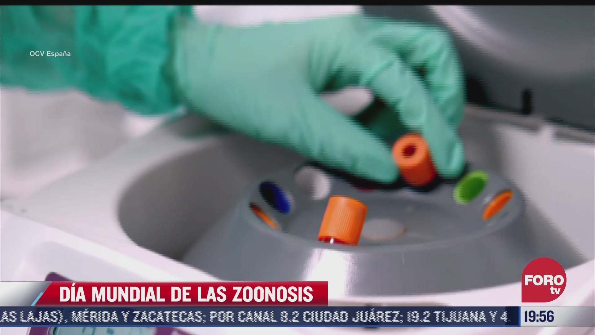este 6 de julio se celebra el dia mundial de la zoonosis