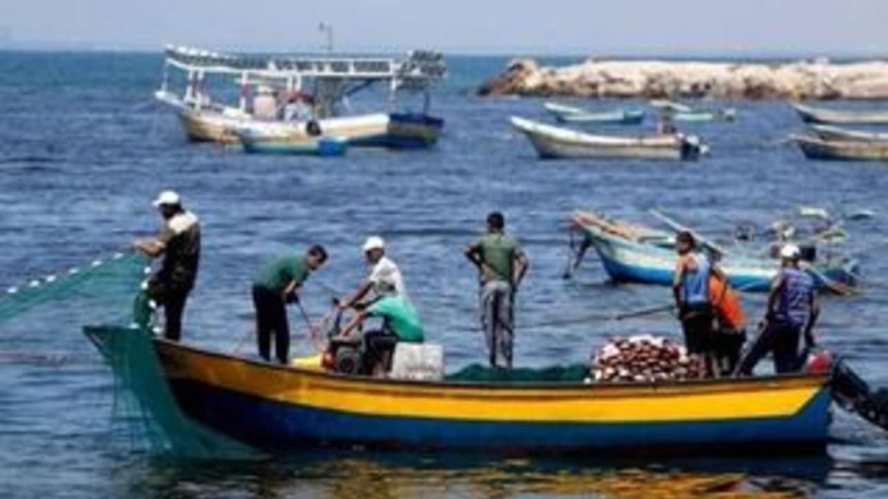 Israel amplía zona de pesca en Gaza