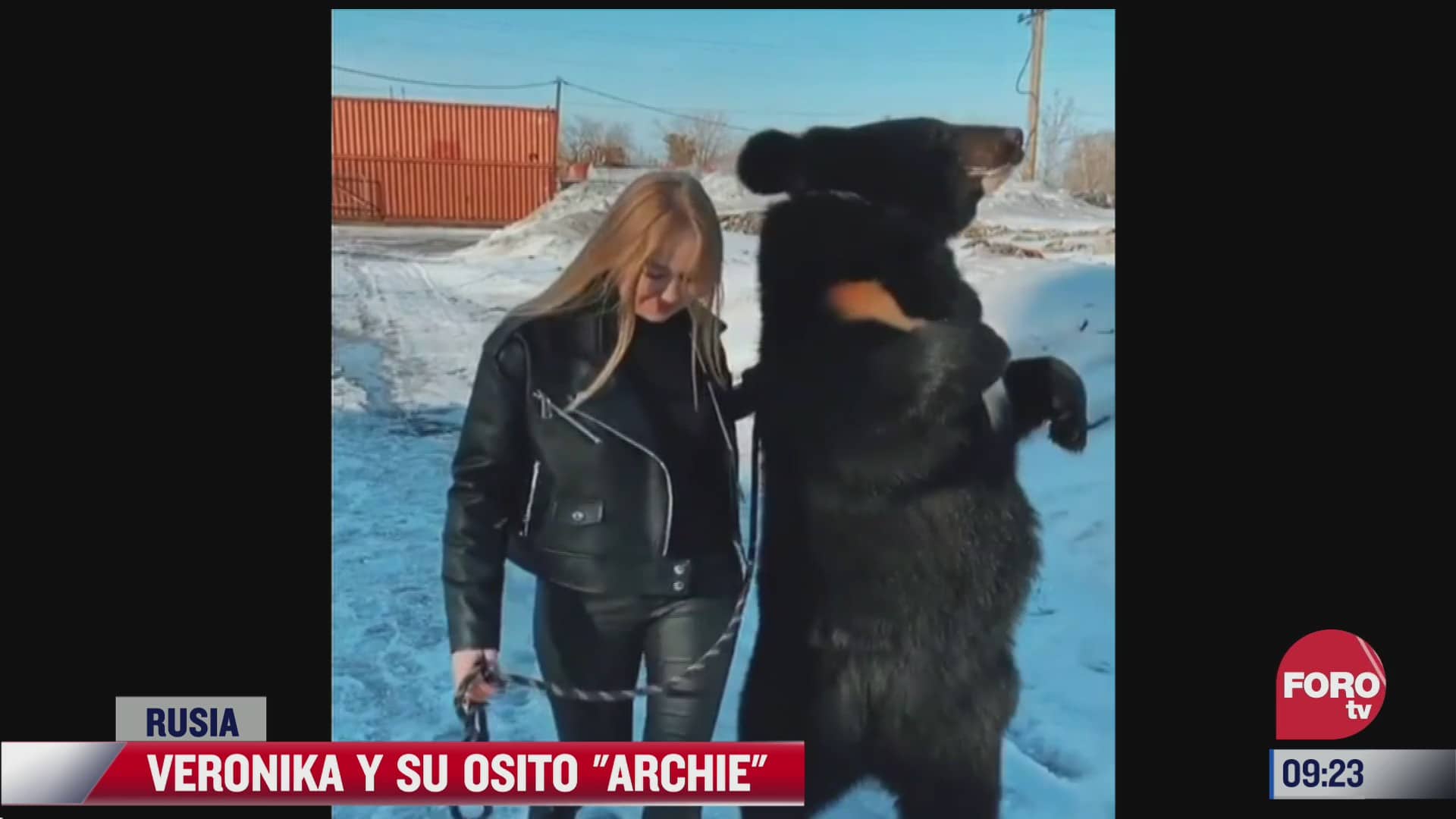 mujer rescata a oso de zoologico ahora son inseparables