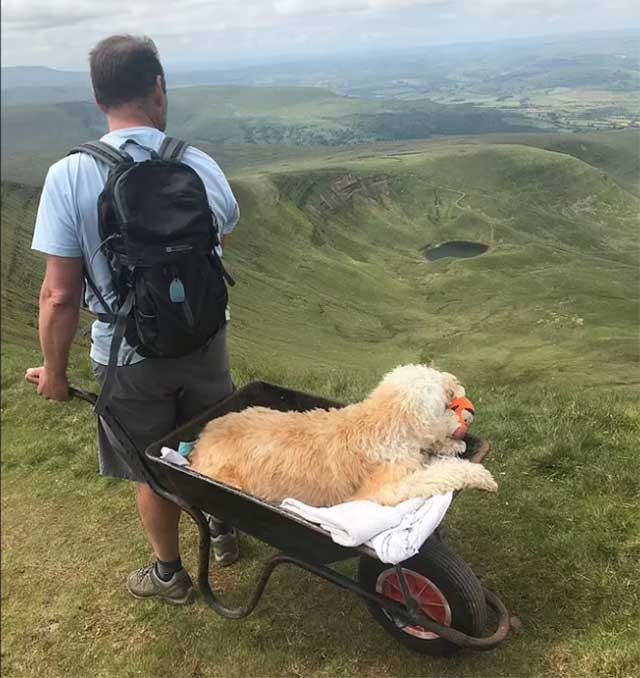 Perrito con cáncer da un último paseo en su montaña favorita