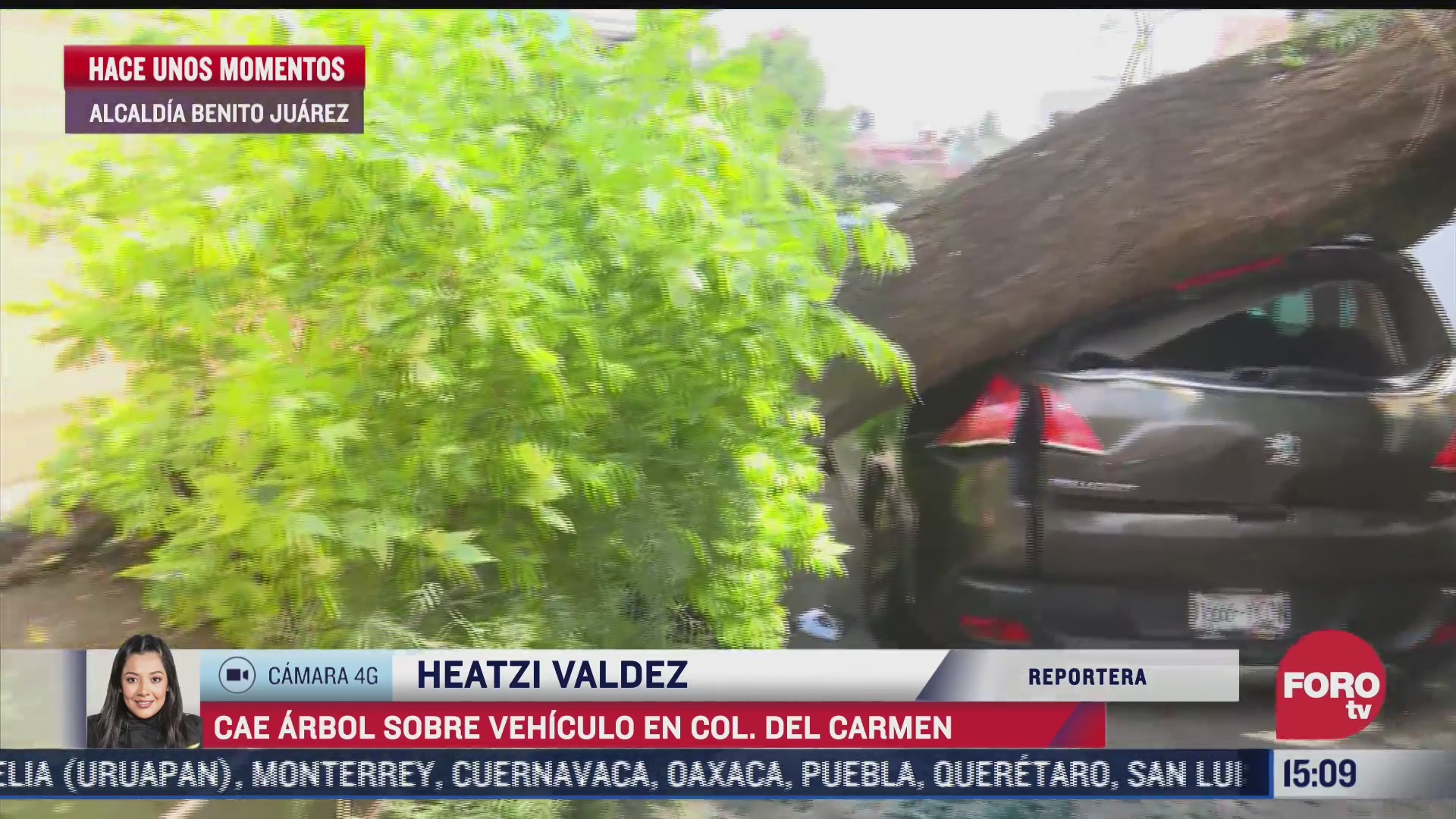 Cae árbol sobre vehículo en alcaldía Benito Juárez
