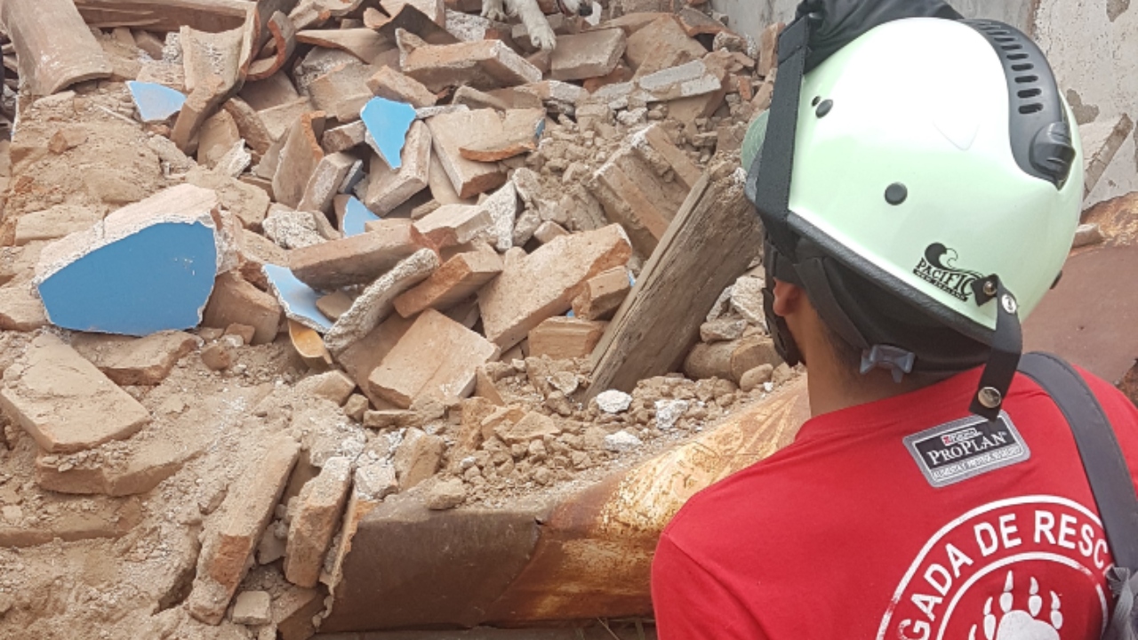 'Los Topos' de México se quedan esperando para ayudar en rescate en edificio