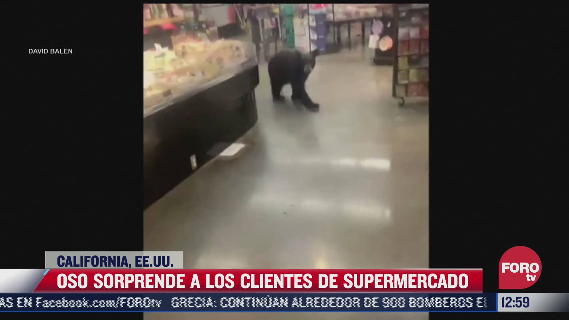 Video: Oso se pasea en supermercado de EEUU
