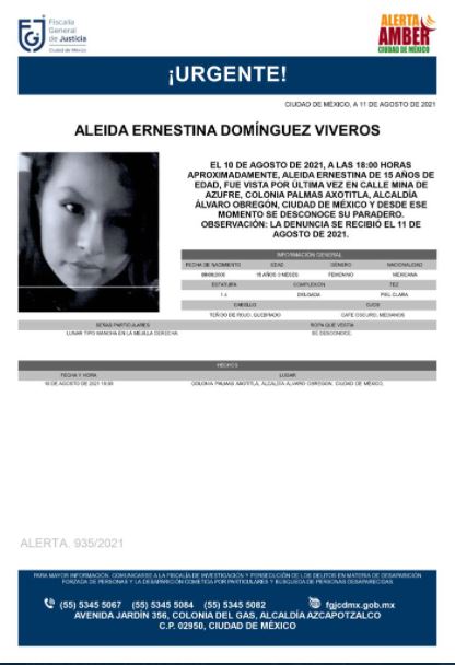Activan Alerta Amber para localizar a Aleida Ernestina Domínguez Viveros