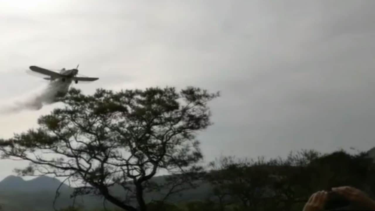 Avioneta fumigadora queda calcinada tras caer en predio de Atotonilco, Jalisco