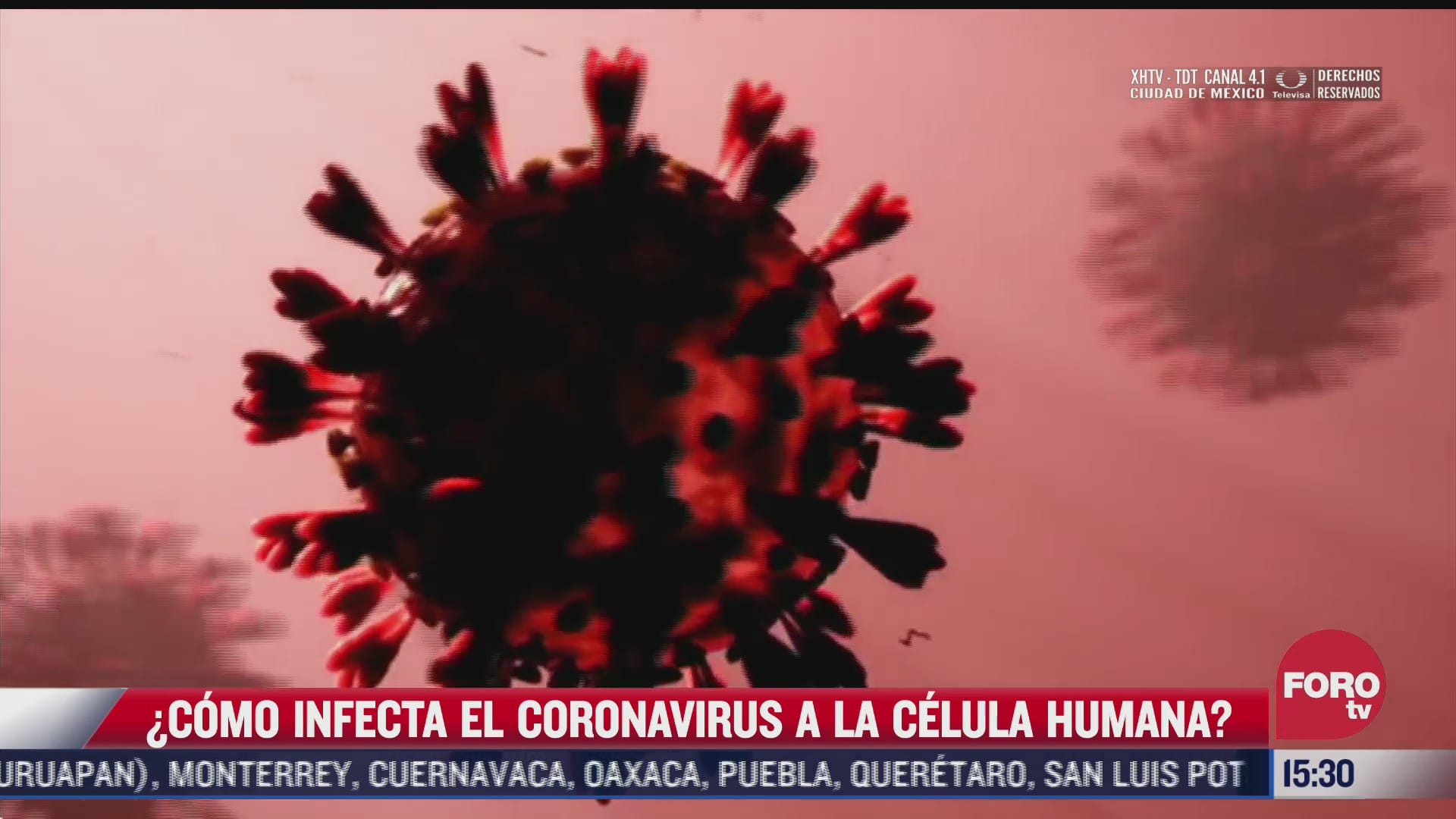 como infecta el coronavirus a celulas humanas