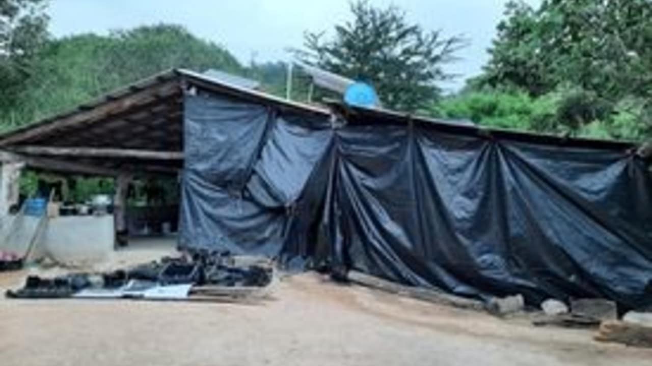Desmantelan campamento de adiestramiento clandestino en Jalisco