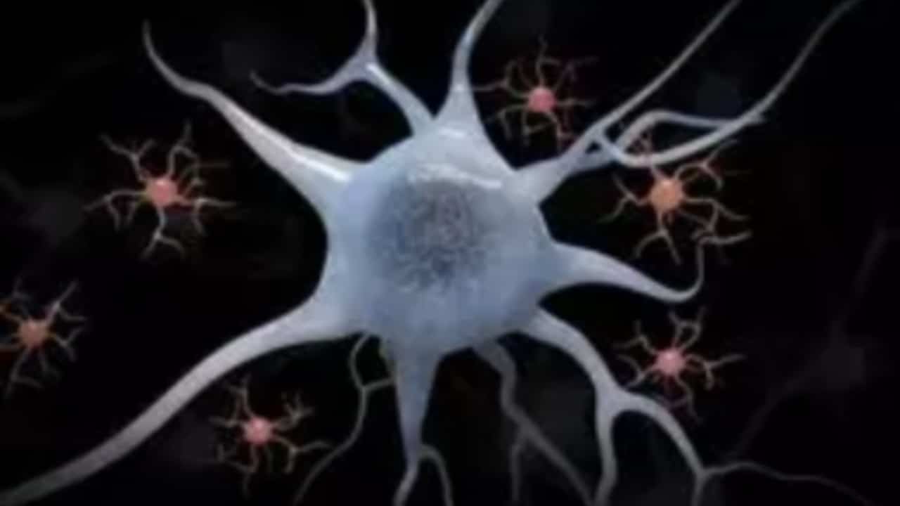 Científicos desarrollan neuronas artificiales con iones