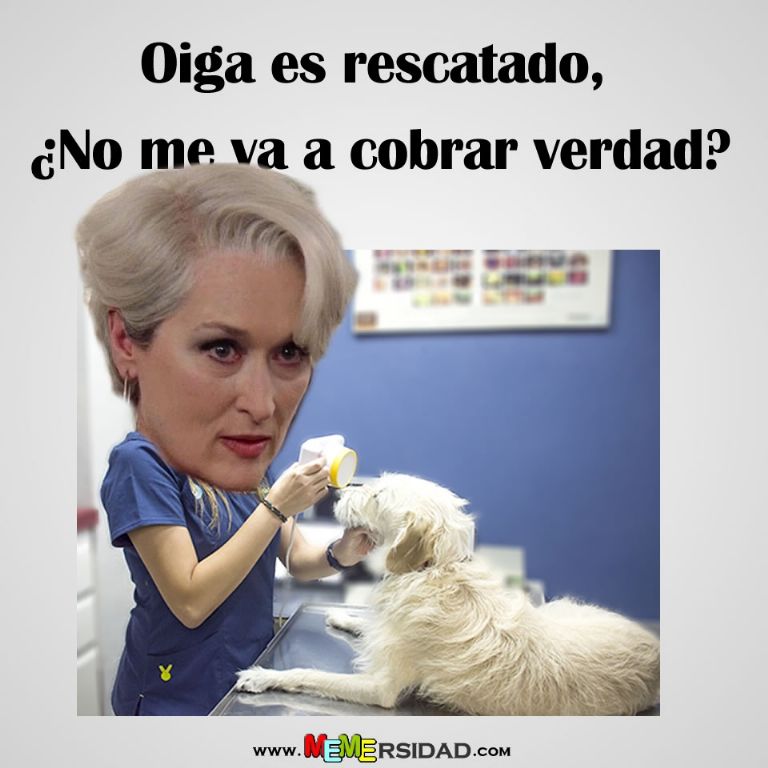 Memes por el Día del Veterinario 17 de agosto en México