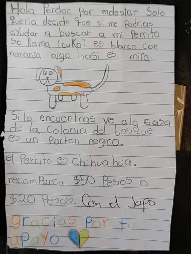 Viral: Niña hizo dibujo de su perrito para encontrarlo