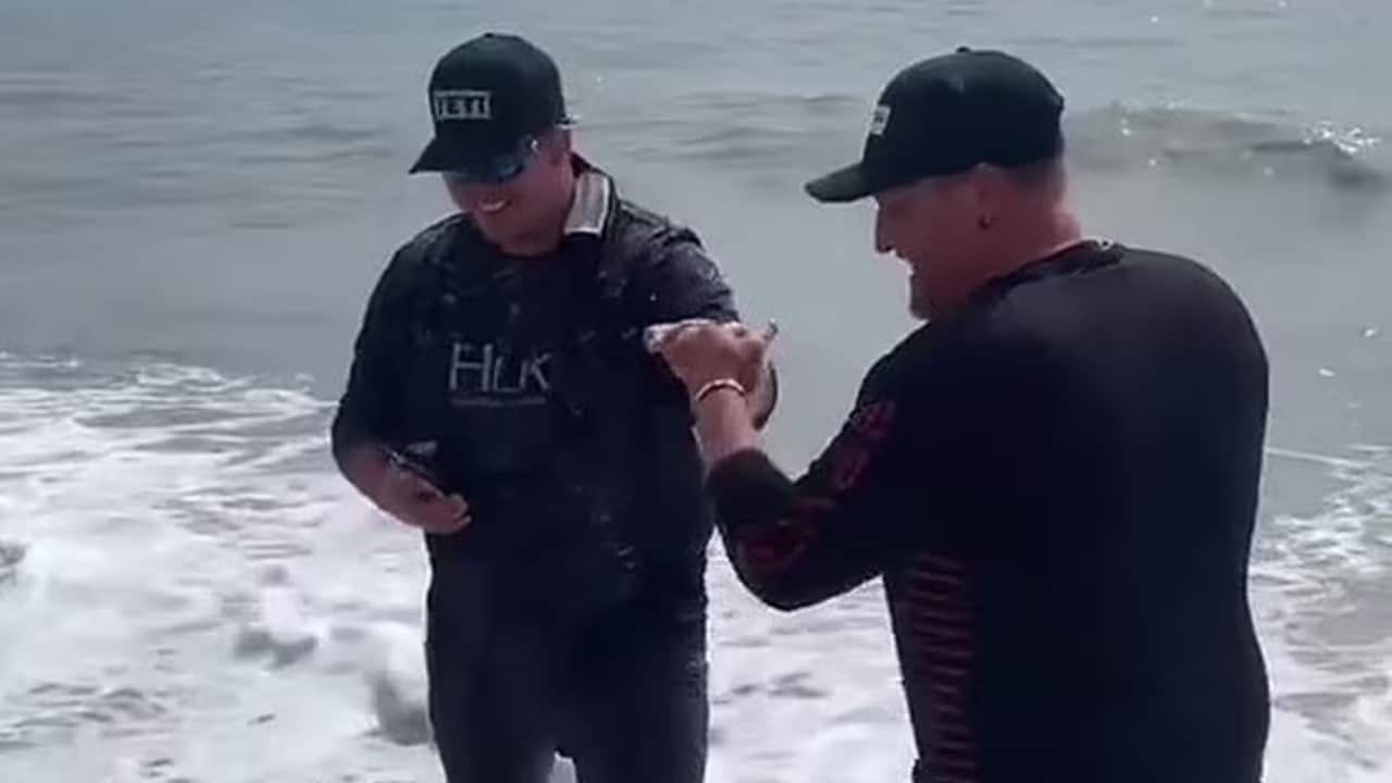 pescadores, maltrato animal, tiburón, video viral, captura de pantalla