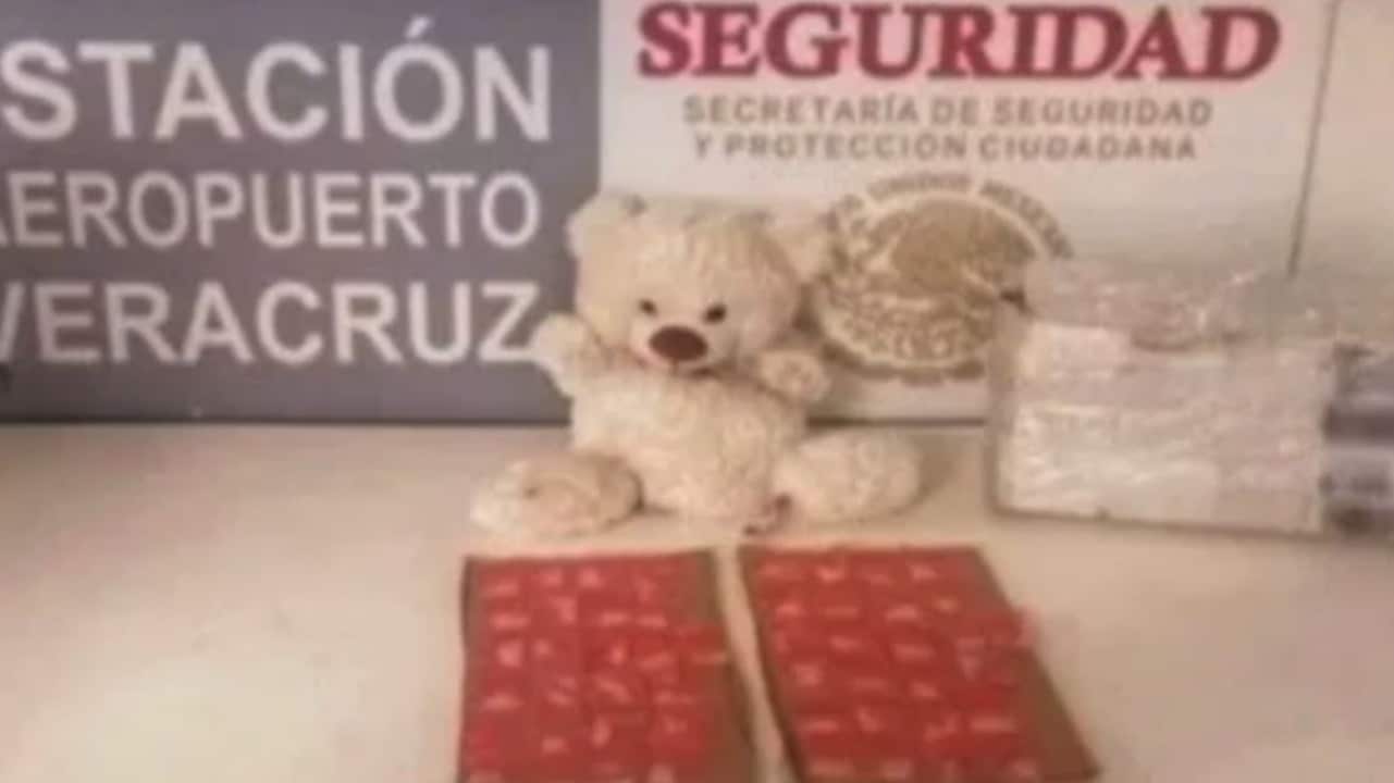 Aseguran en Veracruz oso de peluche relleno con 50 paquetes de droga
