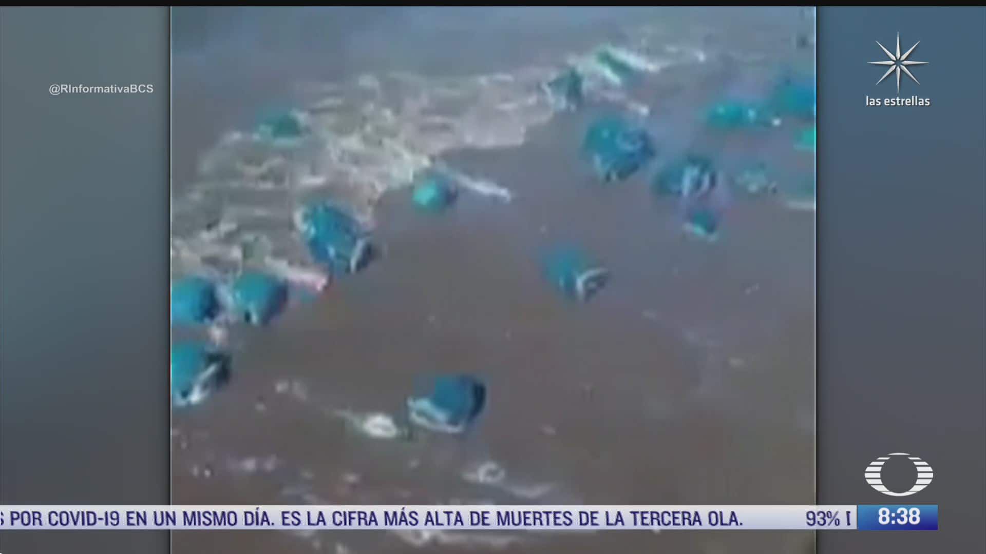 video medusas varadas en playa el mogote