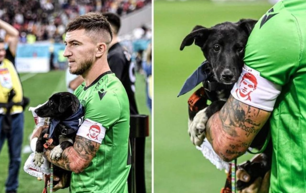 Ofrecen perros en adopción en partidos de futbol en Rumania