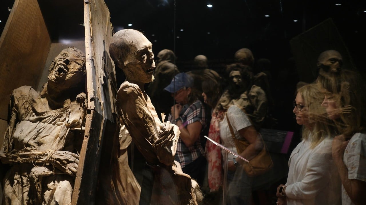 Posible construcción de nuevo museo para las momias de Guanajuato genera polémica