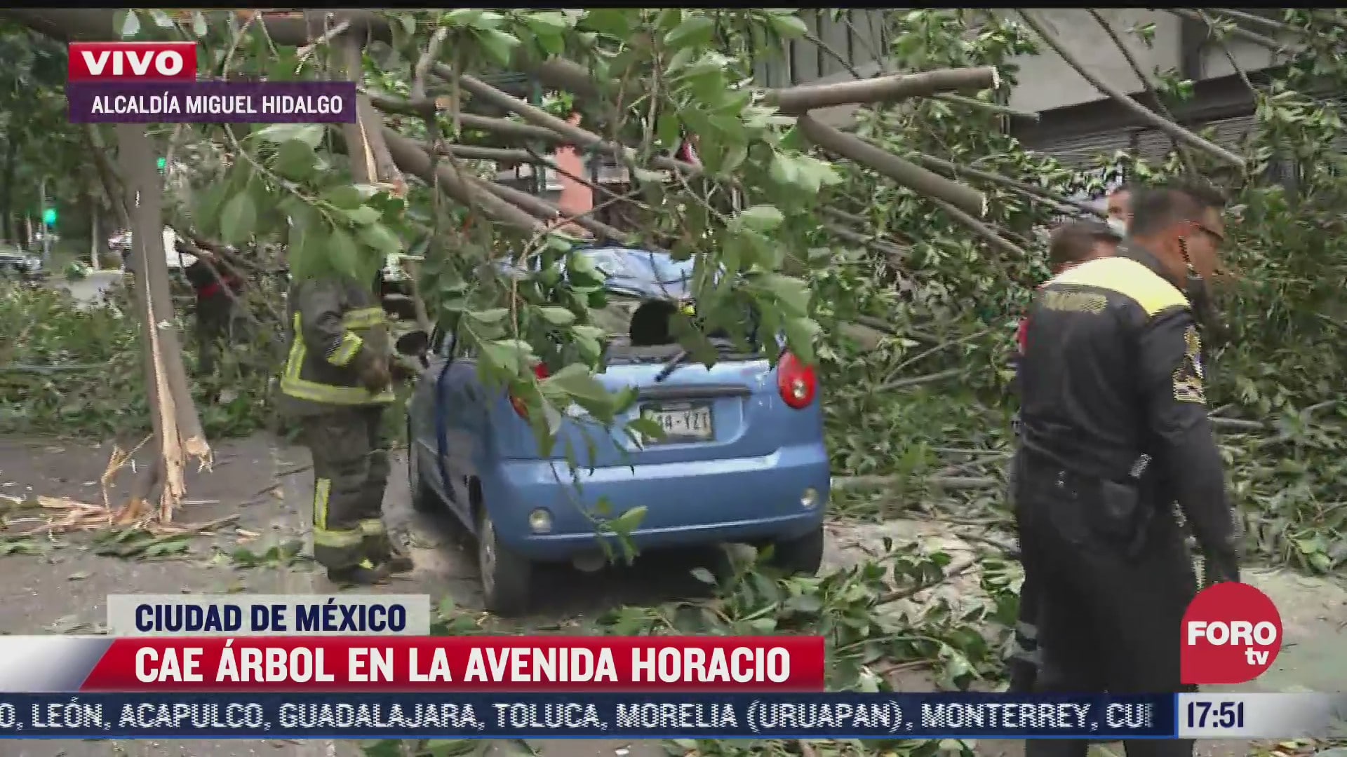 arbol cae sobre dos autos en la ciudad de mexico
