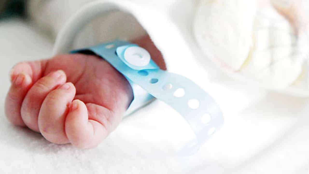 Nacen dos bebés "in vitro" con cultivo enriquecido de fluido uterino