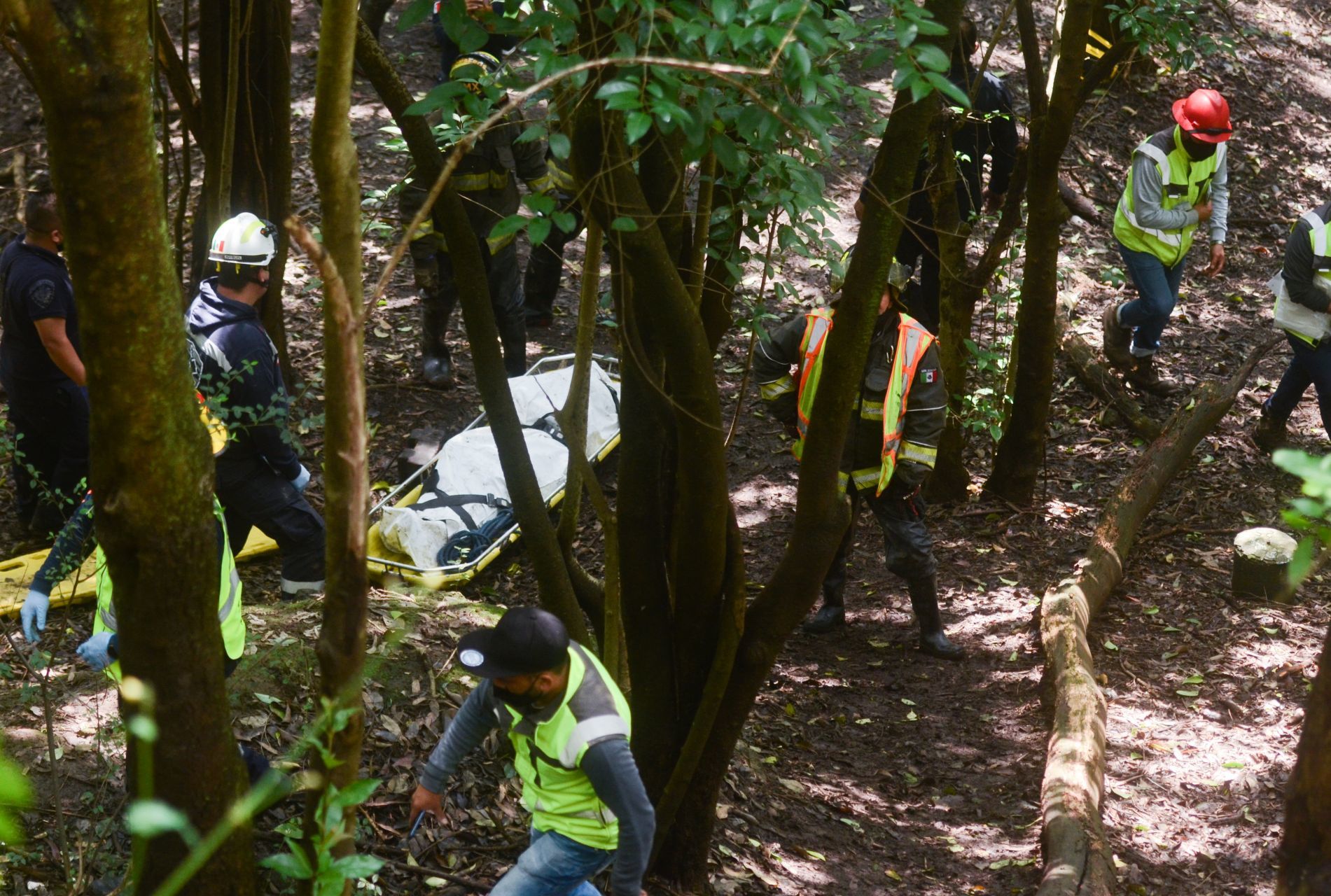 Un hombre fue encontrado muerto en el bosque de Chapultepec (Cuartoscuro)