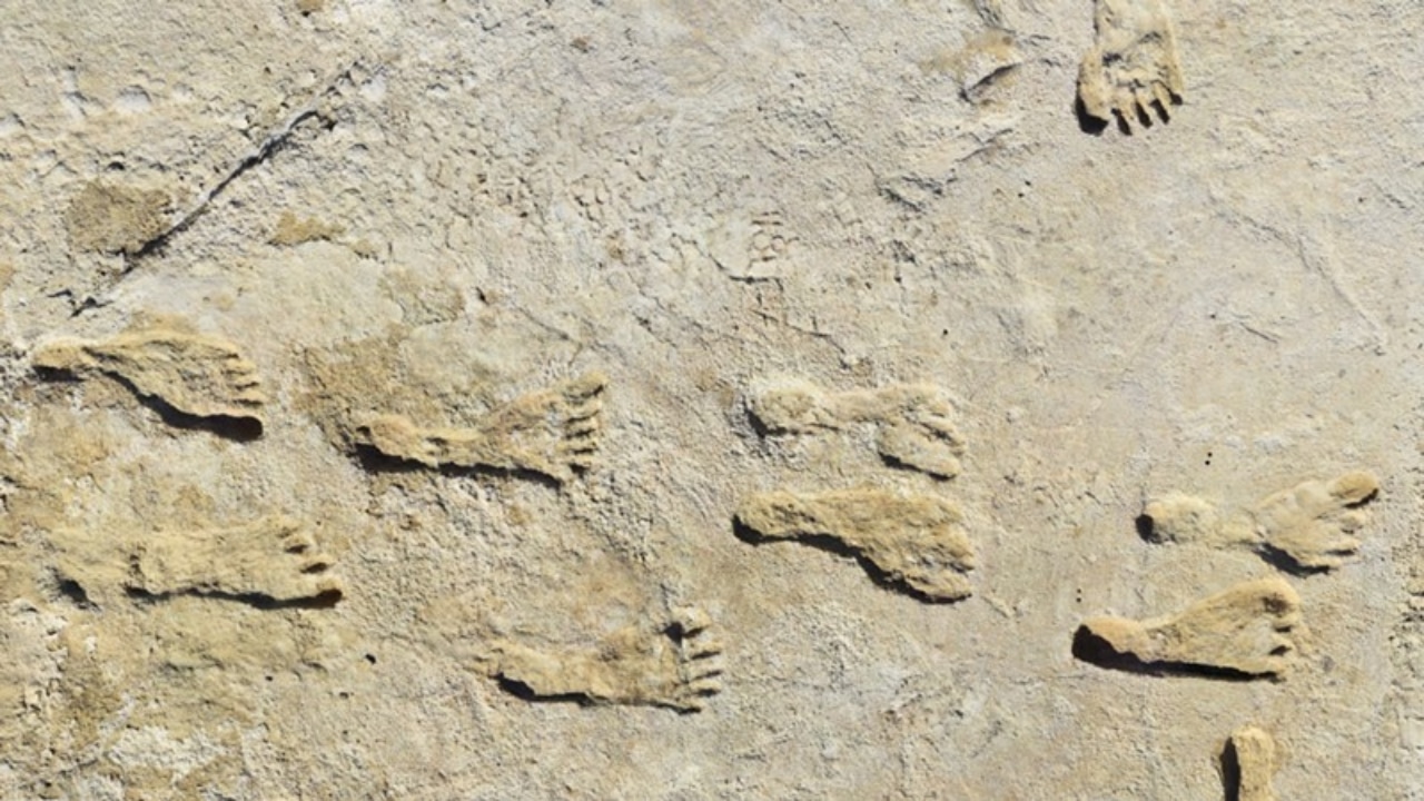 Huellas de niños prehistóricos en Nuevo México